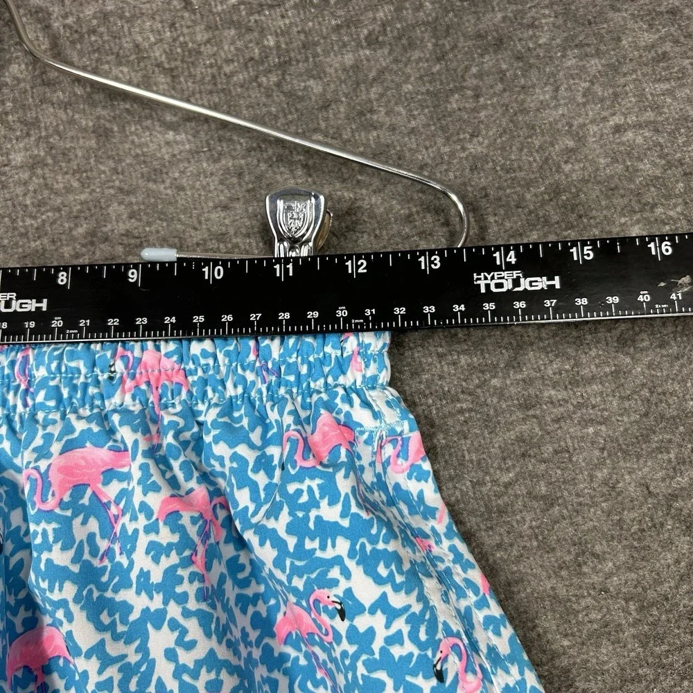 Chubbies Swim Trunks Mens S Blue‎ Domingos Are For Flamingos Lined 5.5